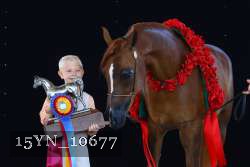 15YN_10677 proof