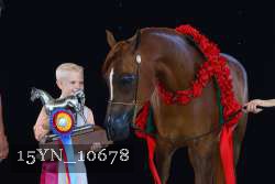 15YN_10678 proof
