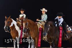 15YN_16230 proof