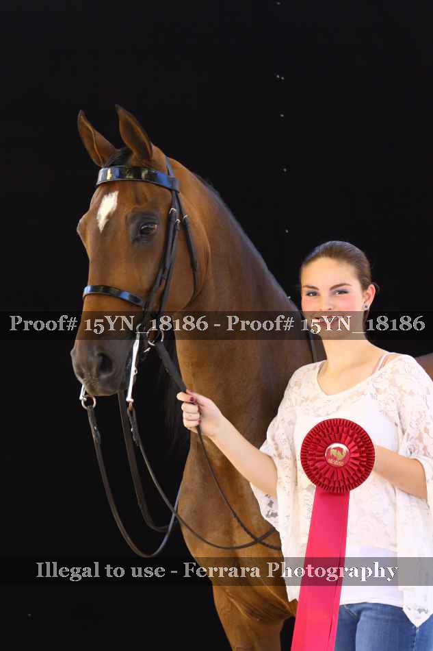 Proof 15YN_18186