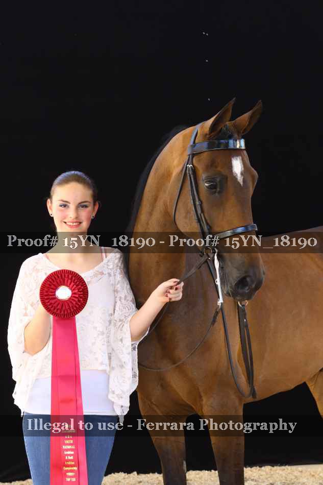 Proof 15YN_18190