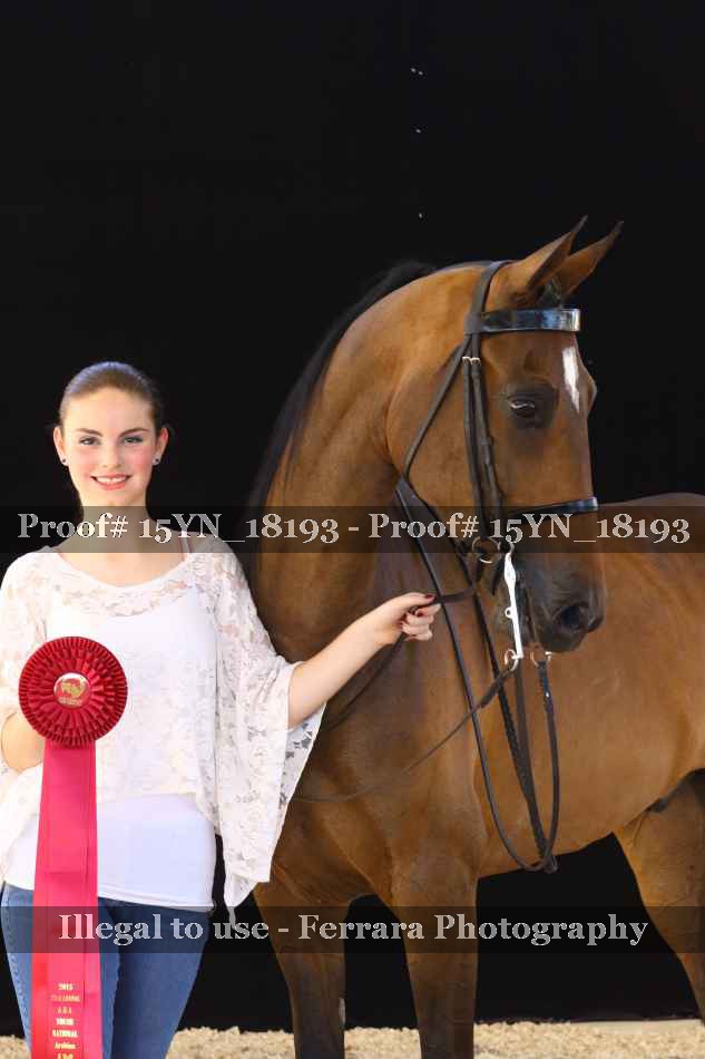 Proof 15YN_18193