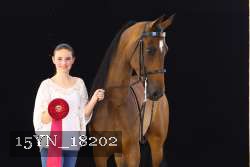 15YN_18202 proof
