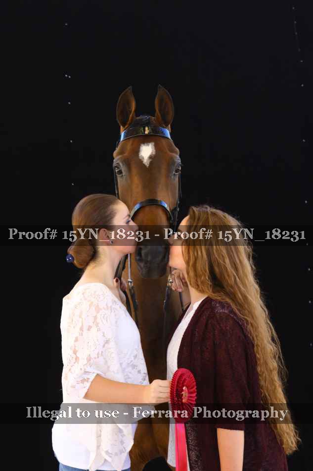 Proof 15YN_18231