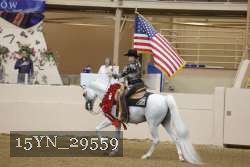15YN_29559 proof