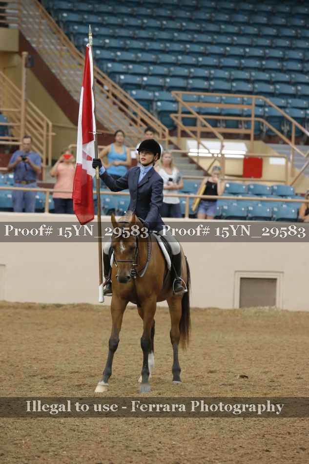 Proof 15YN_29583