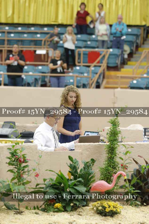 Proof 15YN_29584