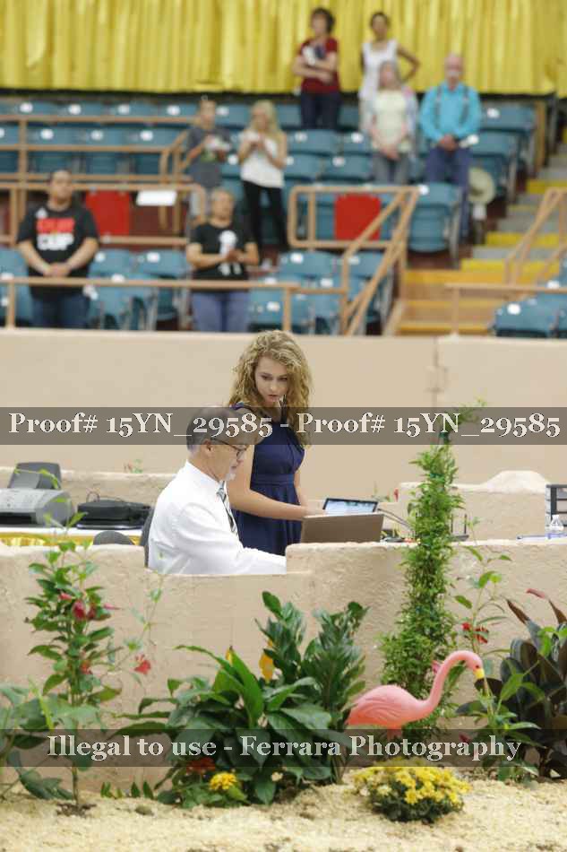 Proof 15YN_29585