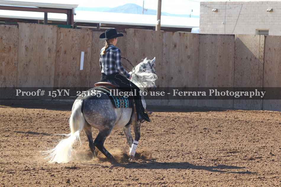 Proof 15YN_25185