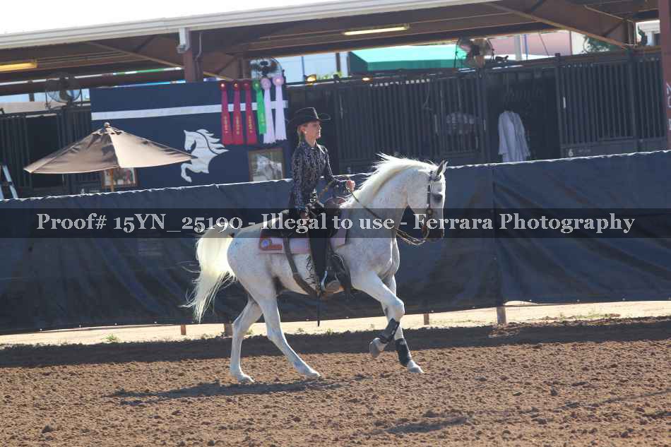 Proof 15YN_25190