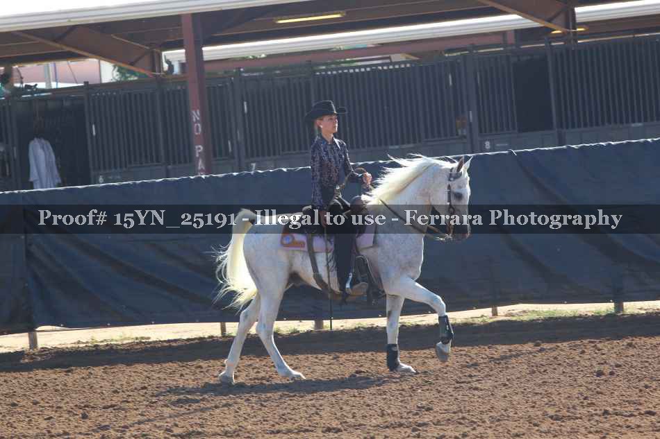 Proof 15YN_25191