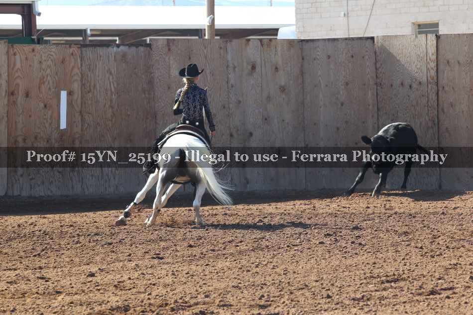 Proof 15YN_25199