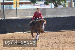 15YN_25223 proof