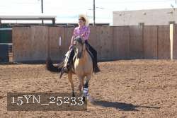 15YN_25233 proof