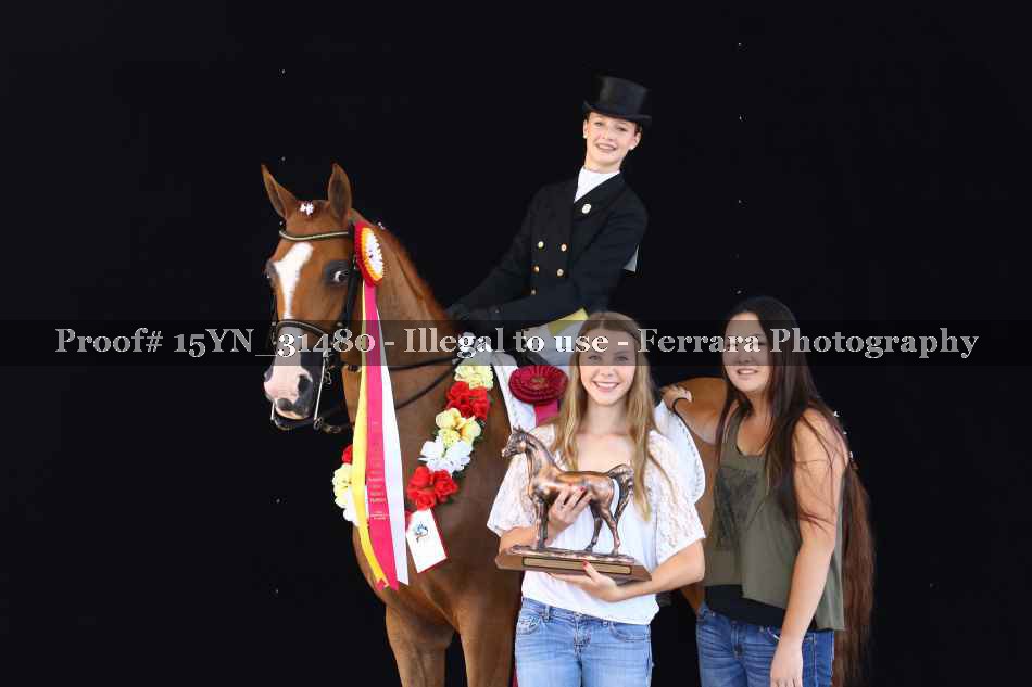 Proof 15YN_31480