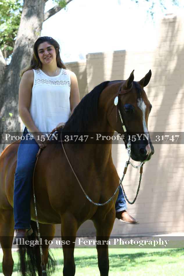 Proof 15YN_31747