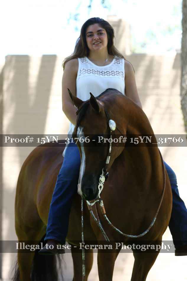 Proof 15YN_31766
