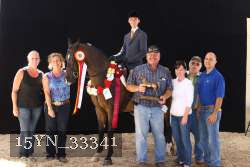 15YN_33341 proof