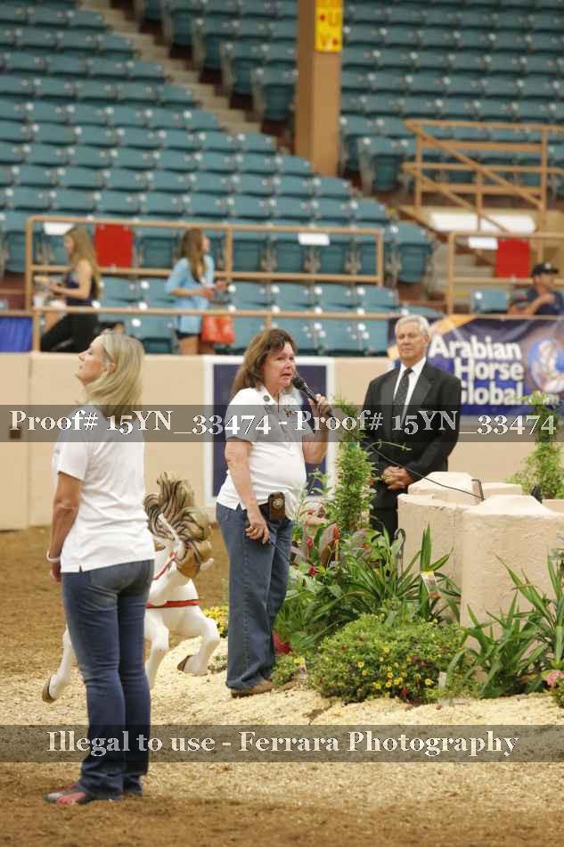 Proof 15YN_33474