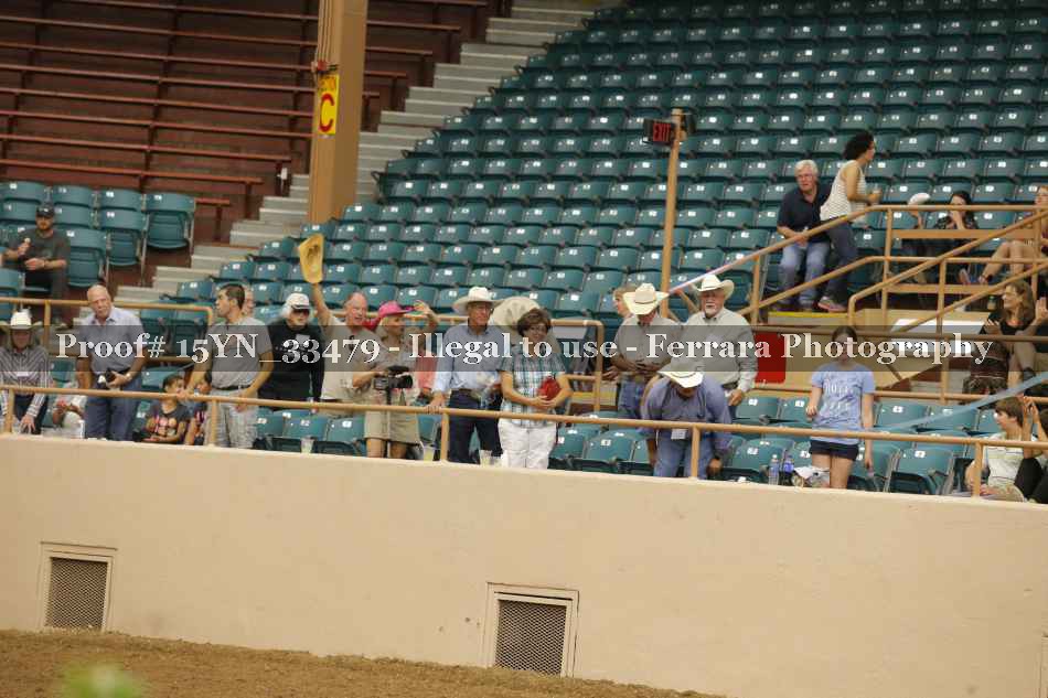 Proof 15YN_33479