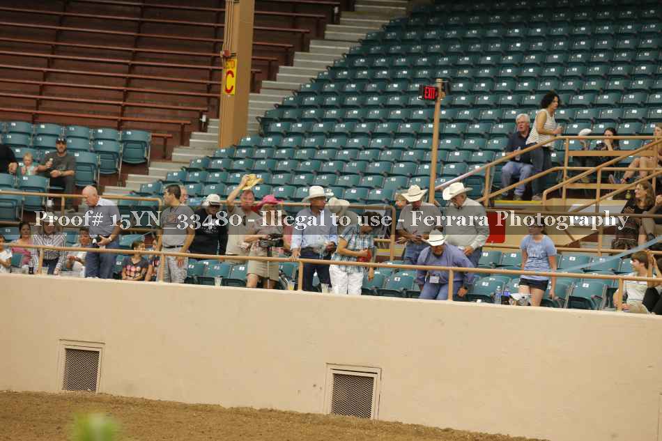 Proof 15YN_33480