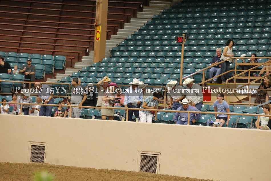 Proof 15YN_33481