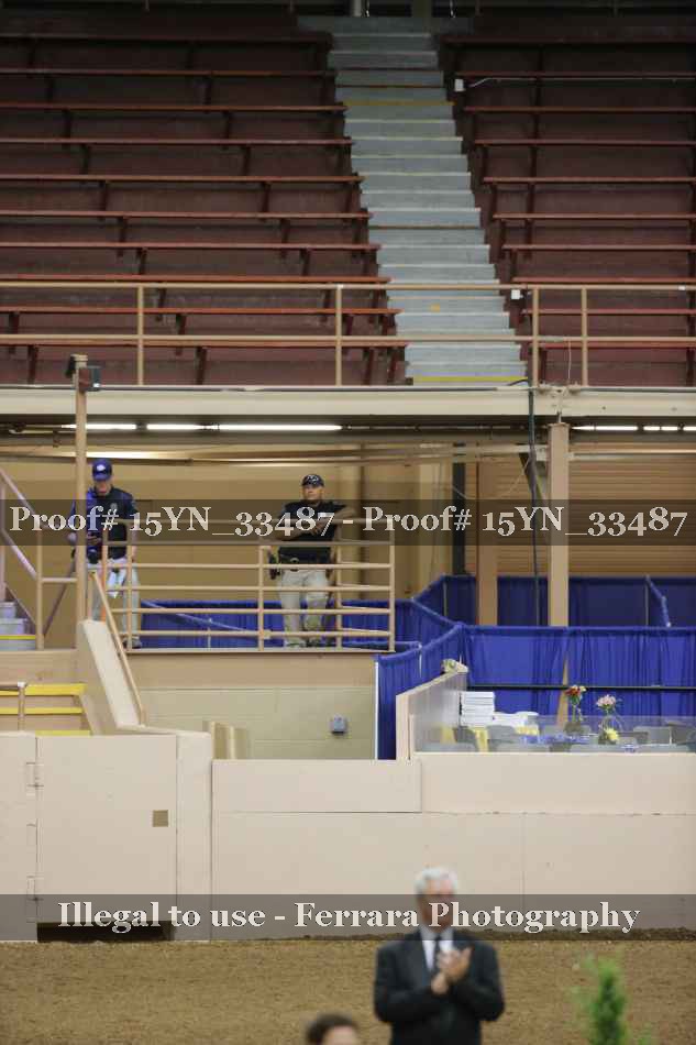 Proof 15YN_33487