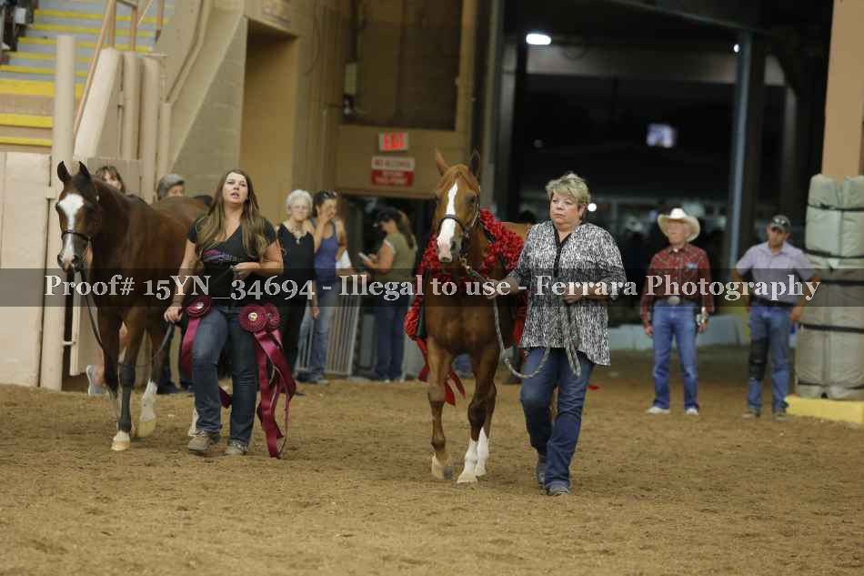 Proof 15YN_34694