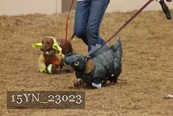 15YN_23023 proof