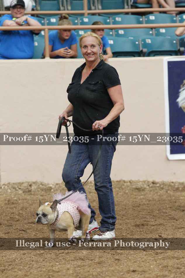 Proof 15YN_23035