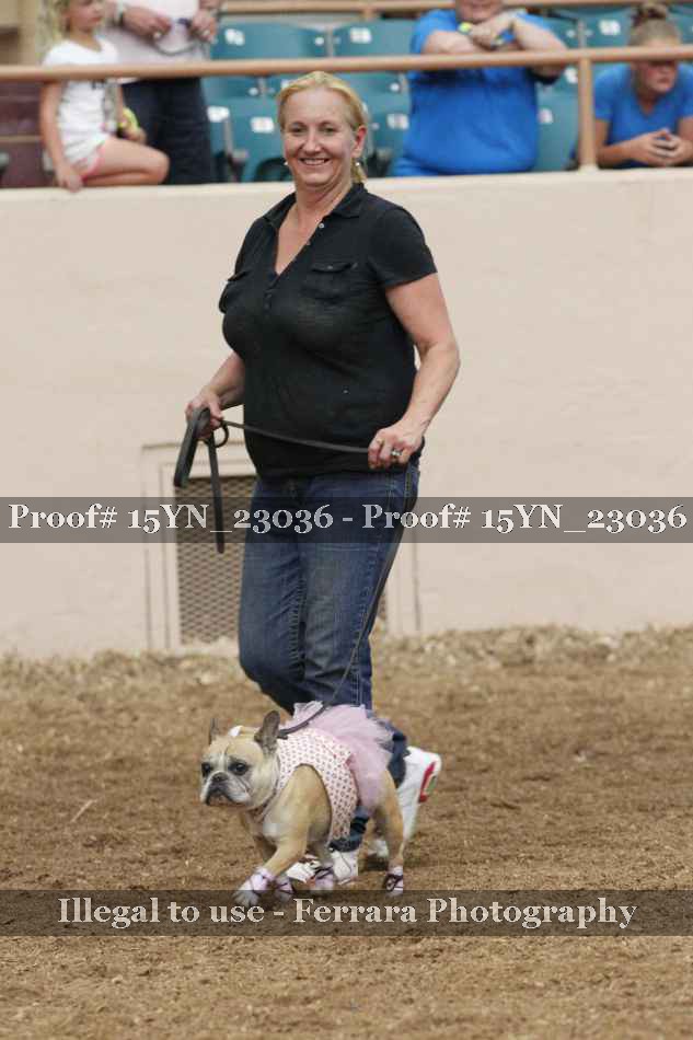Proof 15YN_23036