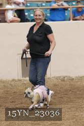 15YN_23036 proof
