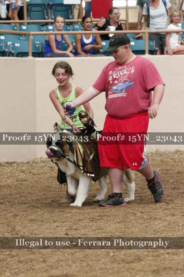 Proof 15YN_23043