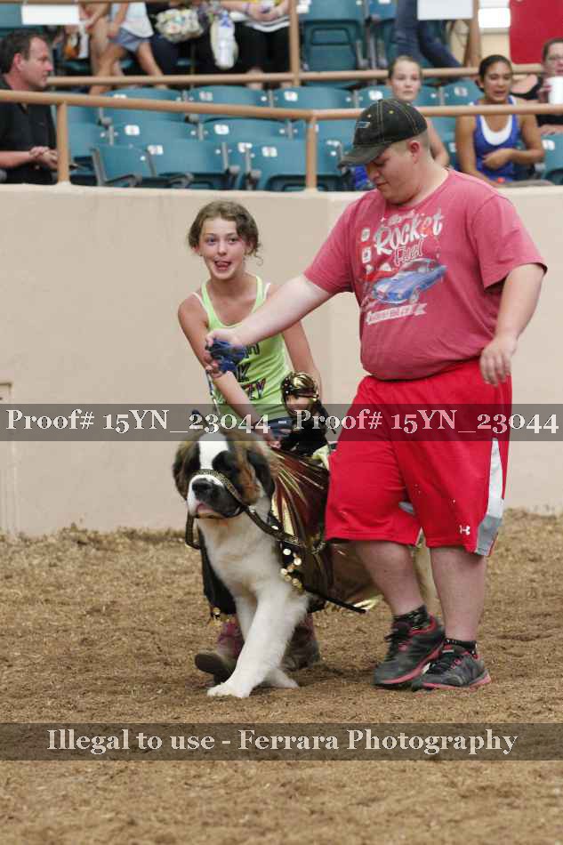 Proof 15YN_23044