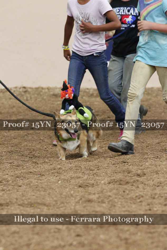 Proof 15YN_23057