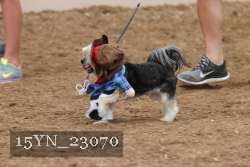 15YN_23070 proof