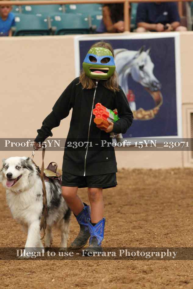 Proof 15YN_23071