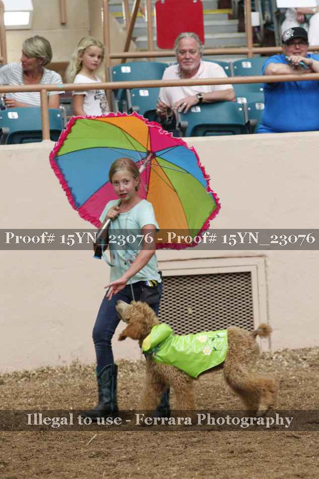 Proof 15YN_23076