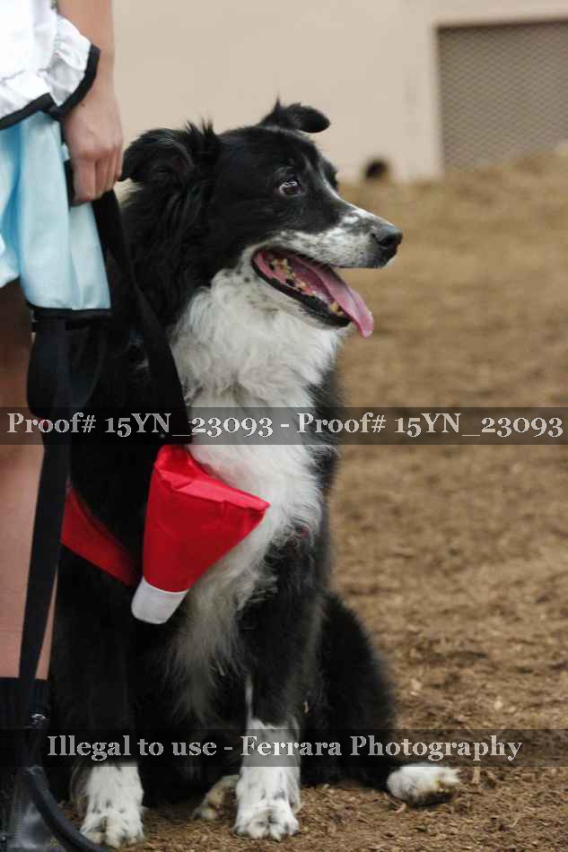 Proof 15YN_23093
