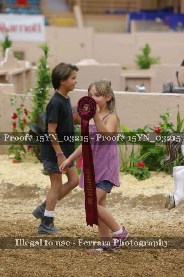 Proof 15YN_03215