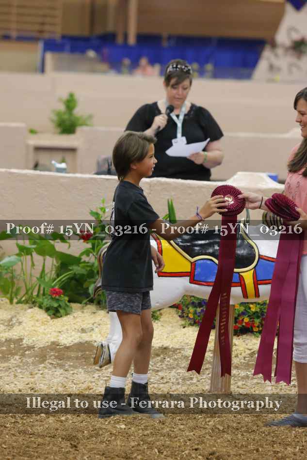 Proof 15YN_03216
