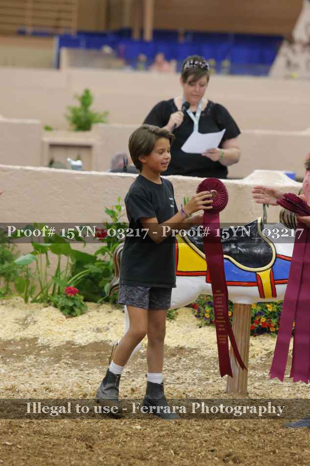Proof 15YN_03217