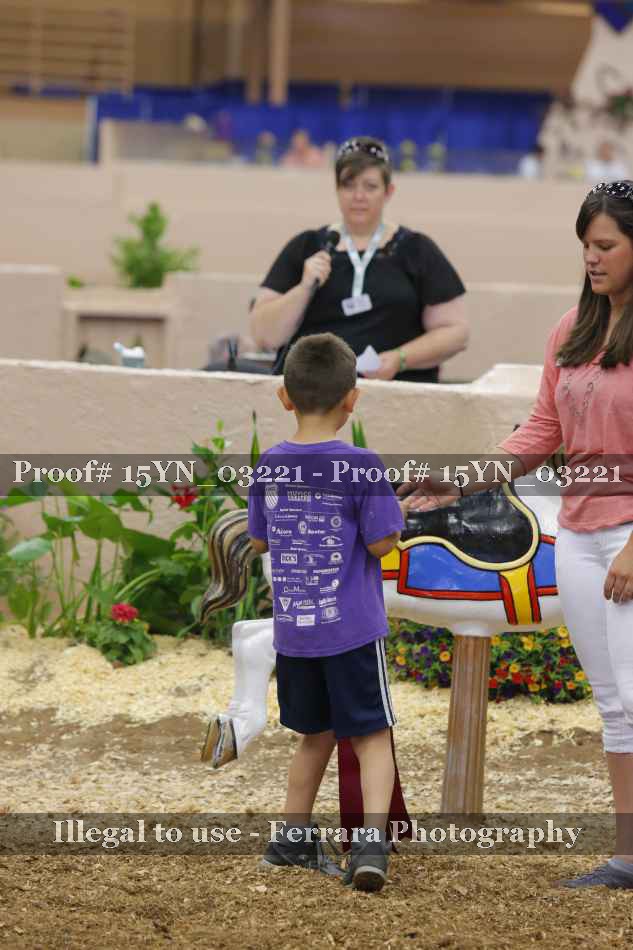 Proof 15YN_03221