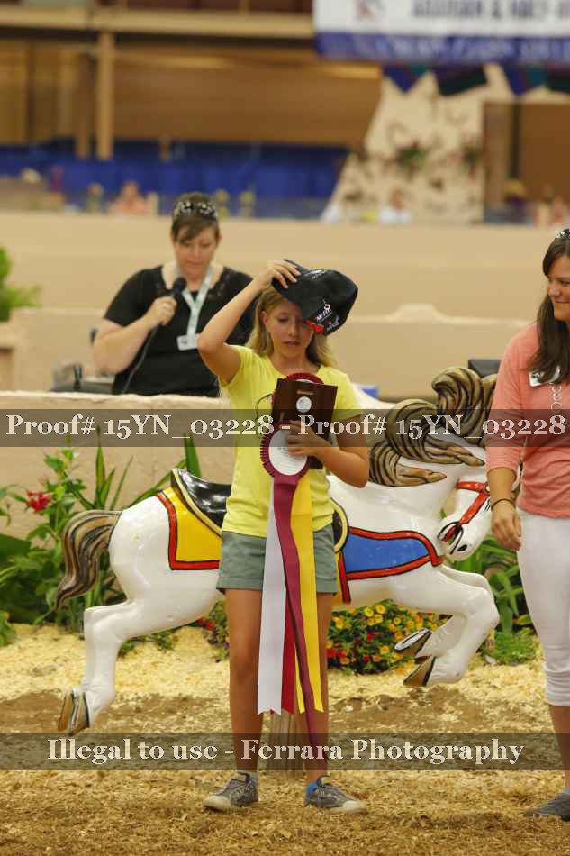 Proof 15YN_03228