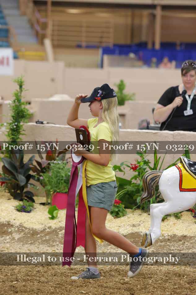 Proof 15YN_03229