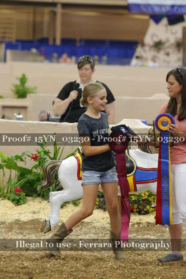 Proof 15YN_03230