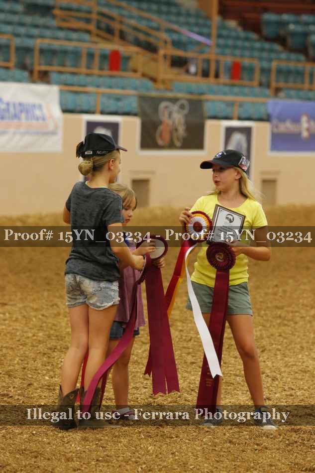 Proof 15YN_03234