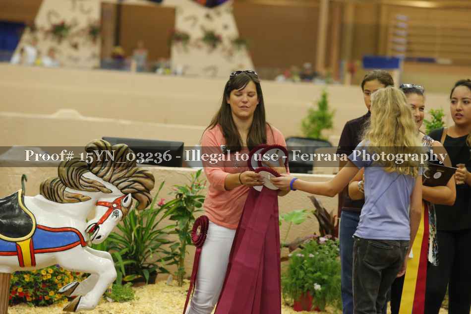 Proof 15YN_03236