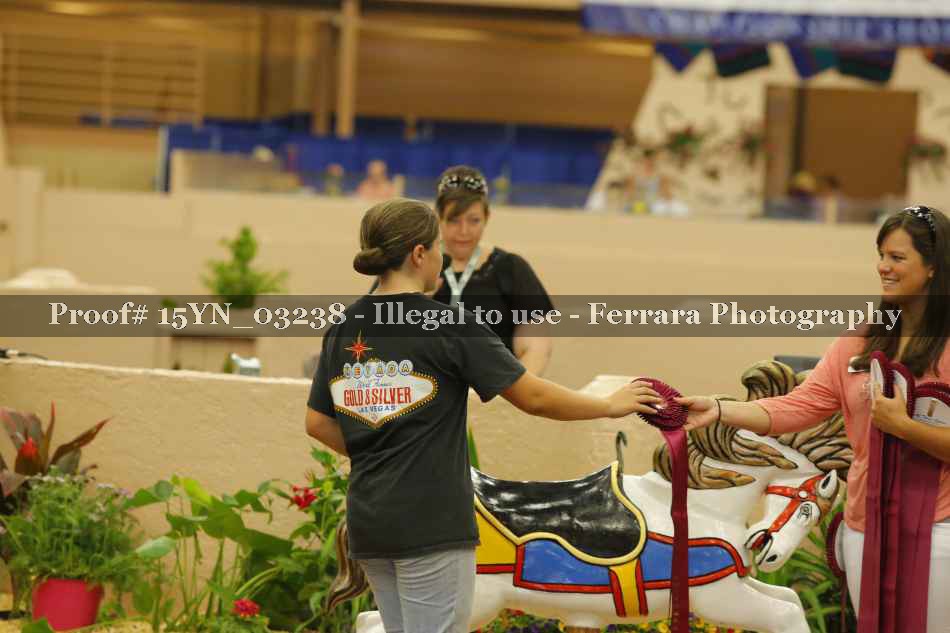 Proof 15YN_03238
