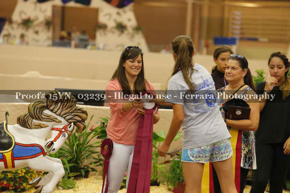 Proof 15YN_03239